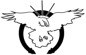 Morrigan's logo