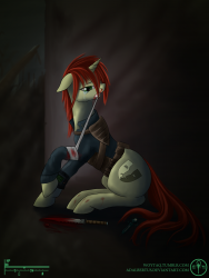 Not a fallout: Equestria fanart