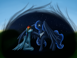 Please forgive me Rainbow Dash
