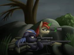 Sniper team
